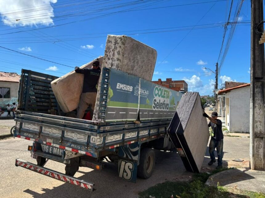 Mutirão Ambiental reforça limpeza e educação no Santa Maria