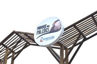 Parque dos Falcões é atração de ecoturismo em Sergipe para o fim de semana