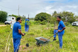 Prefeitura de Aracaju planta 30 mudas em lagoa do loteamento Praia do Refúgio