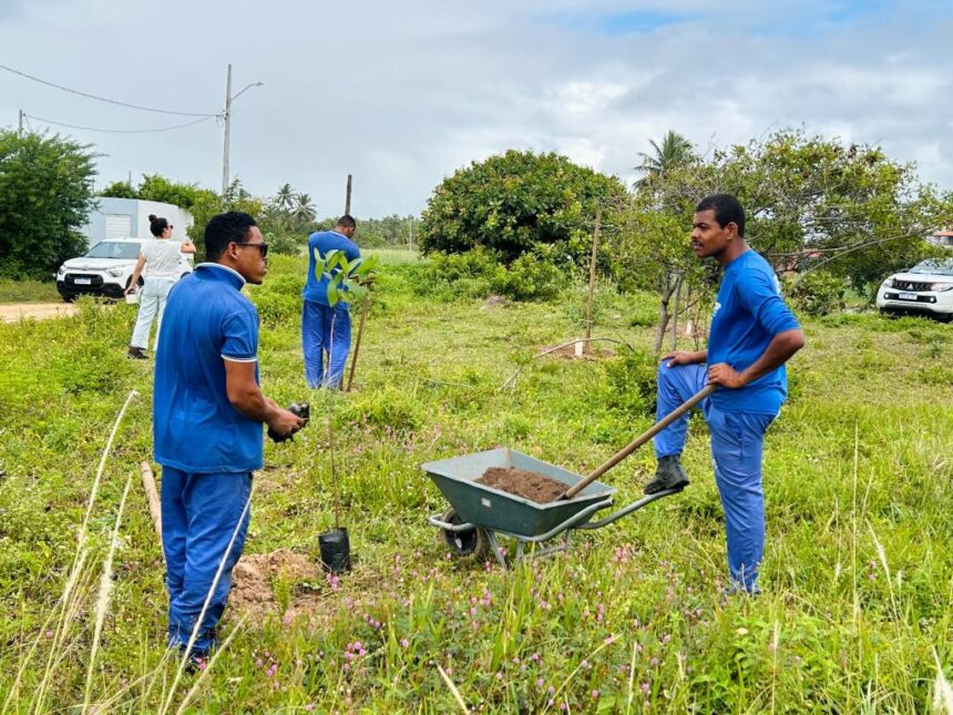 Prefeitura de Aracaju planta 30 mudas em lagoa do loteamento Praia do Refúgio