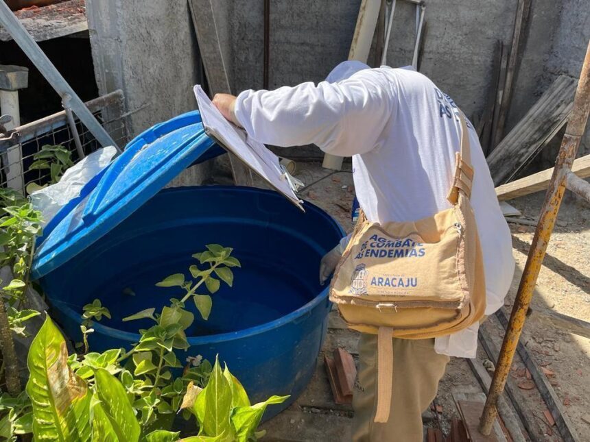 SES alerta para risco de dengue em quatro cidades de Sergipe