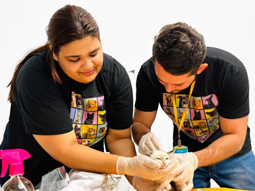 Aju Animal realizou 389 atendimentos veterinários gratuitos em julho