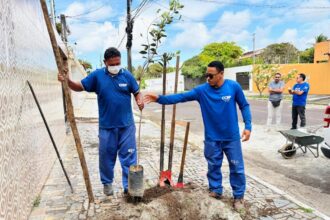 Aracaju amplia arborização no Aruana com plantio de oito mudas