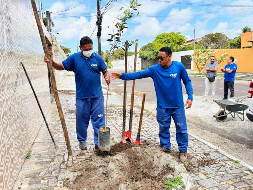 Aracaju amplia arborização no Aruana com plantio de oito mudas