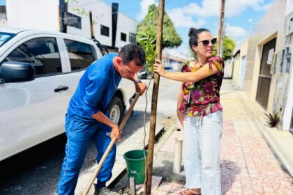 Aracaju amplia arborização urbana com plantios em calçadas
