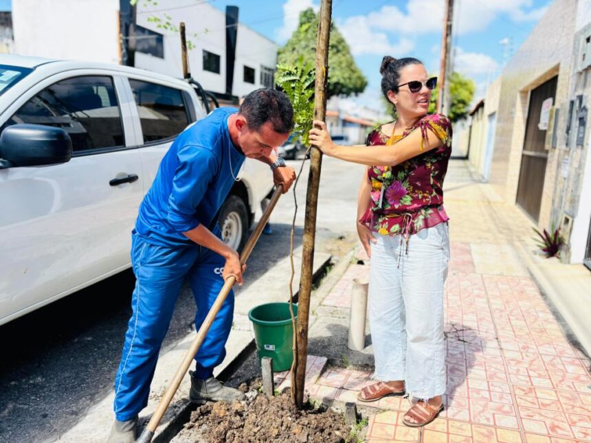 Aracaju amplia arborização urbana com plantios em calçadas