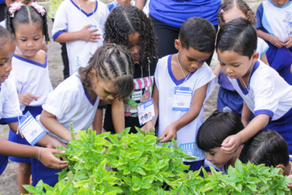 Aracaju avança em plano para a primeira infância com parques naturalizados