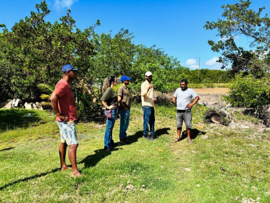 Aracaju estuda plantio de árvores em área degradada no Mosqueiro