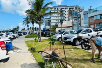 Aracaju planta 10 espécies de mudas na Coroa do Meio após pedido de moradores