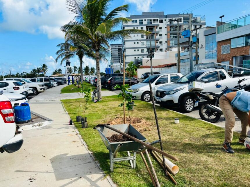 Aracaju planta 10 espécies de mudas na Coroa do Meio após pedido de moradores