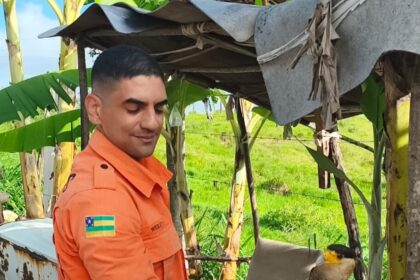Bombeiros encaminham carcará ferido ao CETAS após resgate em Maruim