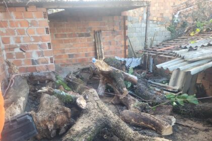 Bombeiros removem mangueira que ameaçava casas no bairro Palestina