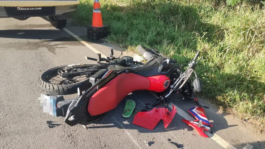 Cavalo solto provoca acidente e deixa motociclista ferido em Riachuelo