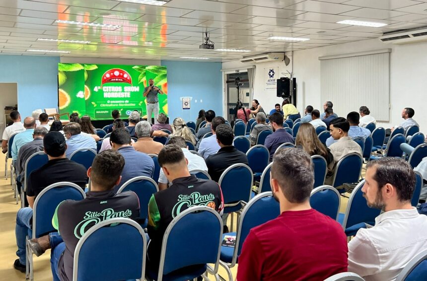 Crise pressiona citricultura, mas Nordeste pode ganhar espaço
