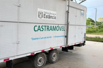 Estância abre 180 vagas para castração gratuita de cães e gatos