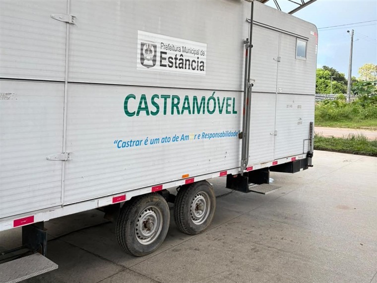 Estância abre 180 vagas para castração gratuita de cães e gatos
