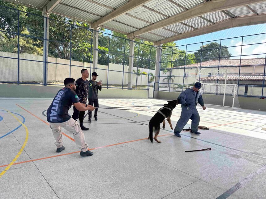 Guardas de Itabaianinha e Tobias Barreto treinam operações com cães