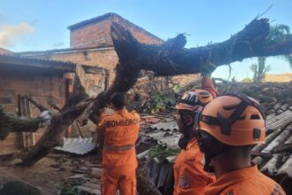 Mangueira tomba sobre casa e mobiliza bombeiros na madrugada em Aracaju