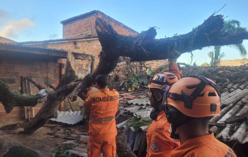 Mangueira tomba sobre casa e mobiliza bombeiros na madrugada em Aracaju
