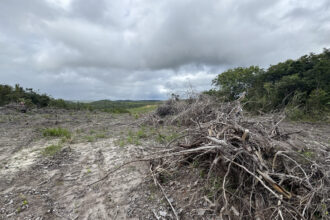 Operação aplica R$ 638 mil em multas por desmate ilegal em Sergipe