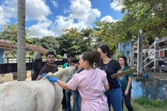 Parceria reforça cuidados com animais e formação veterinária em Aracaju