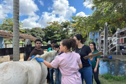 Parceria reforça cuidados com animais e formação veterinária em Aracaju