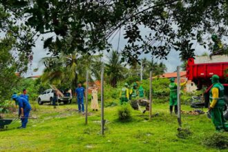 Prefeitura planta 20 mudas nativas após pedido de moradores do Mosqueiro