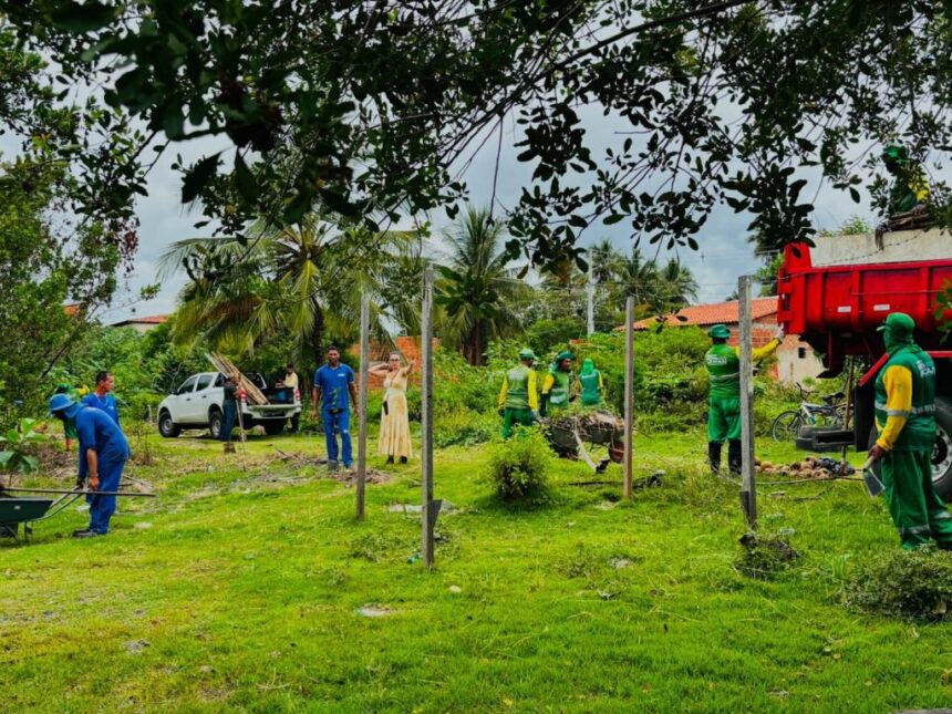 Prefeitura planta 20 mudas nativas após pedido de moradores do Mosqueiro