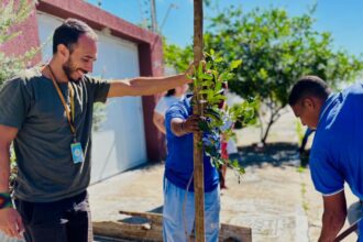Projeto Calçada Viva leva arborização ao bairro Aruana, em Aracaju