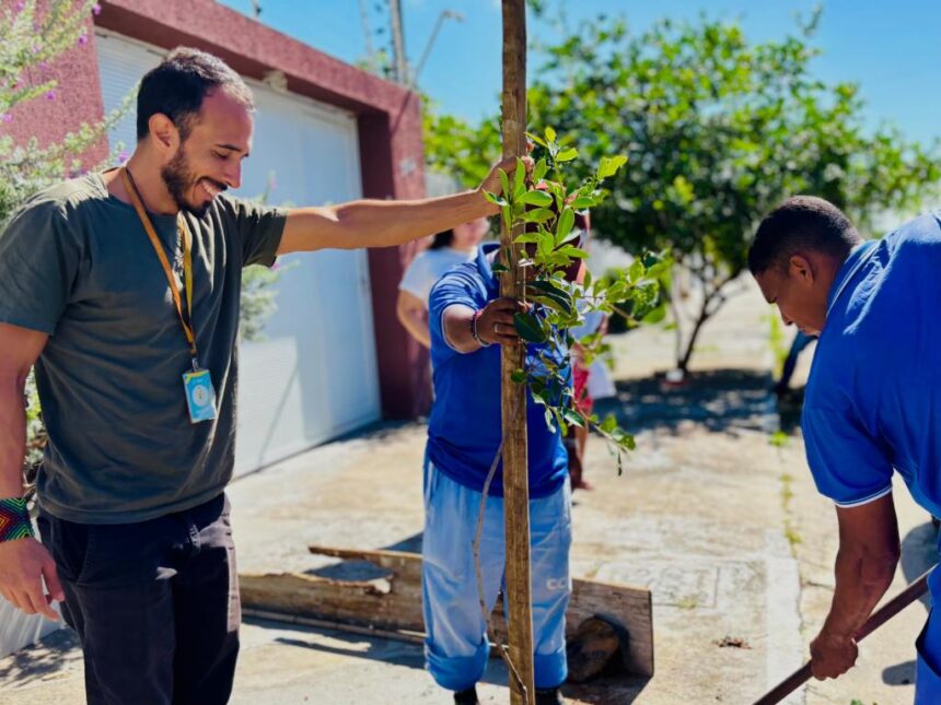 Projeto Calçada Viva leva arborização ao bairro Aruana, em Aracaju