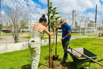 Sema planta 40 mudas de espécies nativas e frutíferas no Crea-SE