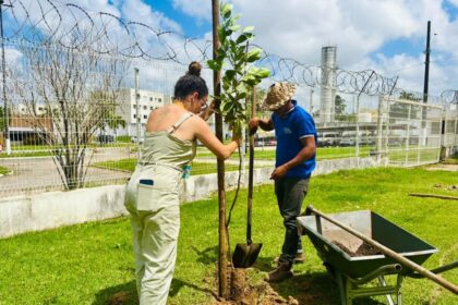 Sema planta 40 mudas de espécies nativas e frutíferas no Crea-SE