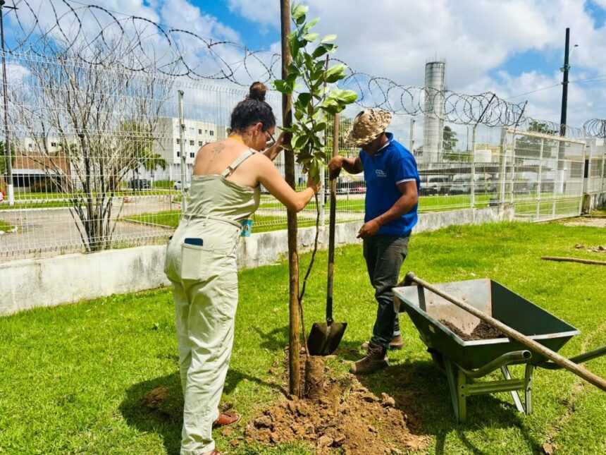Sema planta 40 mudas de espécies nativas e frutíferas no Crea-SE